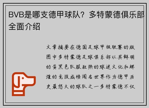BVB是哪支德甲球队？多特蒙德俱乐部全面介绍